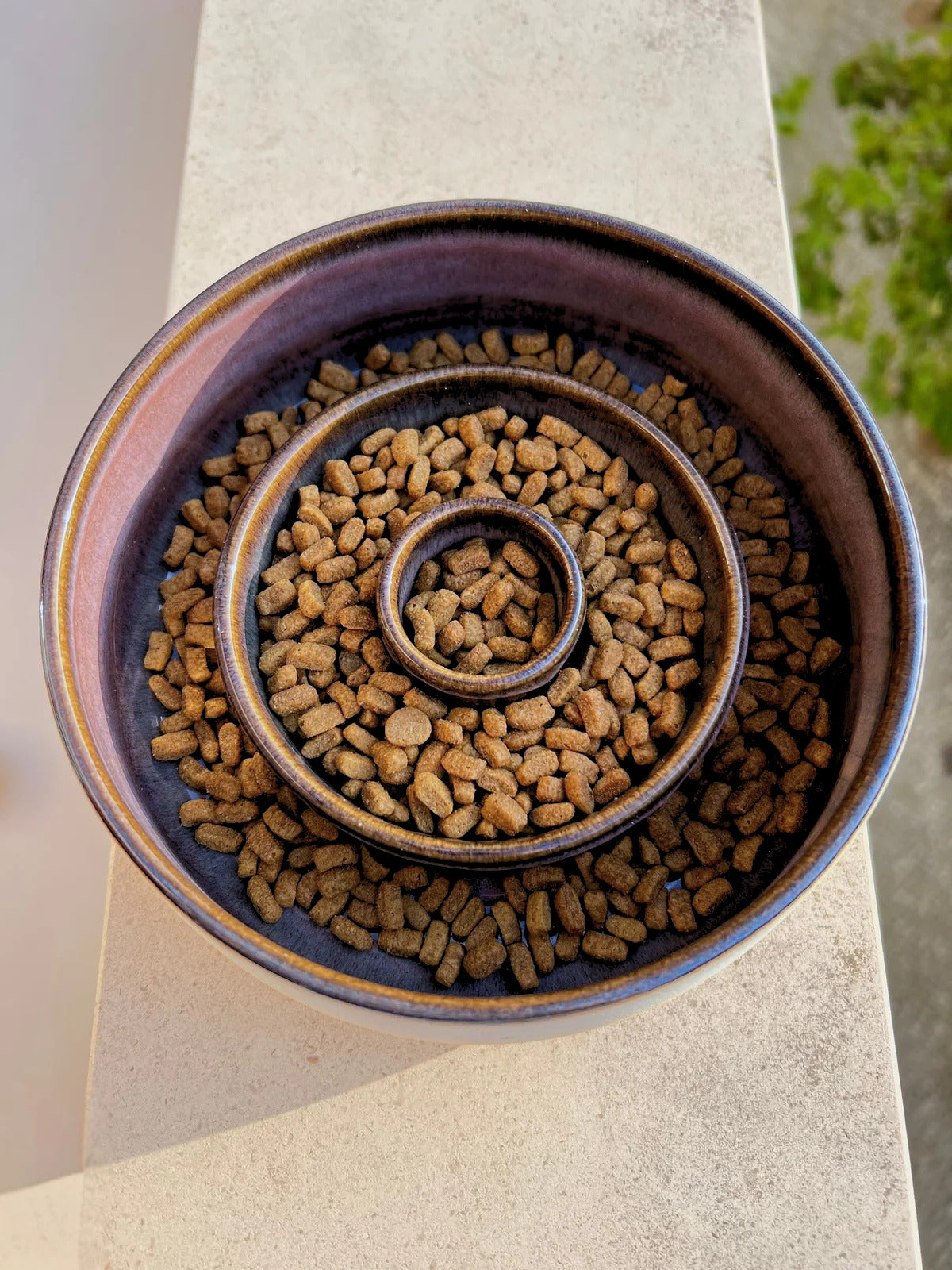 Alimentação e bem-estar para cães e gatos