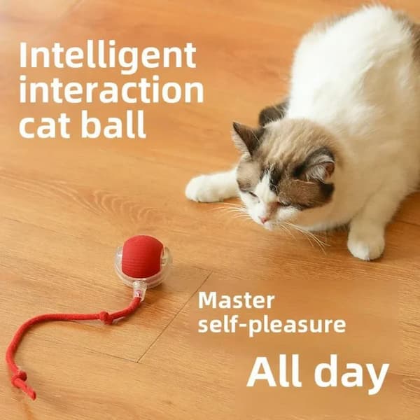 Bola Interativa Recarregável para Cães e Gatos