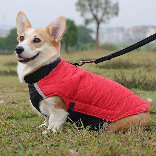 Casaco Impermeável Refletor para Cães