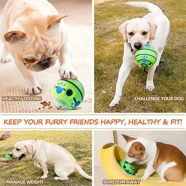 Bola Puzzle para Cães – Dispensadora de Snacks e Slow Feeder