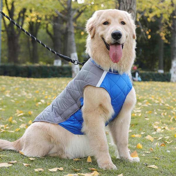 Casaco Impermeável Refletor para Cães