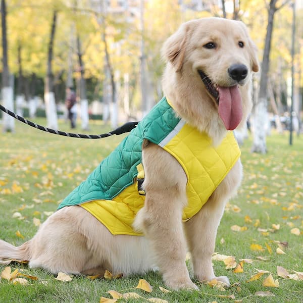 Casaco Impermeável Refletor para Cães