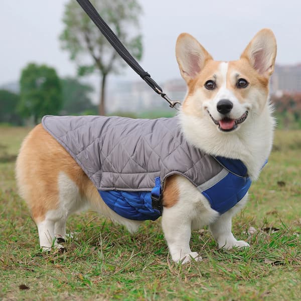 Casaco Impermeável Refletor para Cães