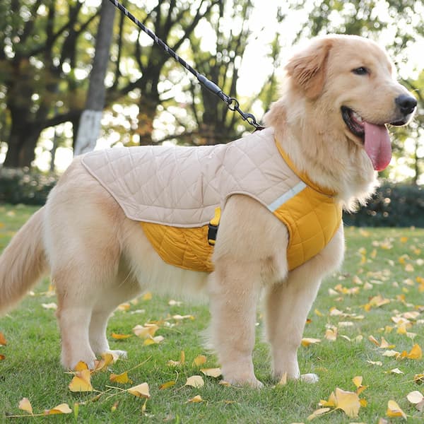 Casaco Impermeável Refletor para Cães