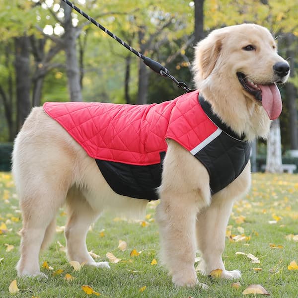 Casaco Impermeável Refletor para Cães