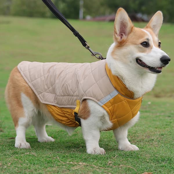Casaco Impermeável Refletor para Cães