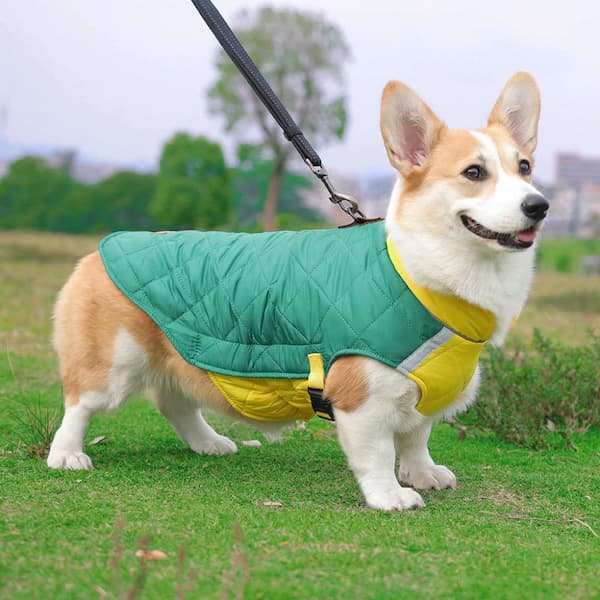 Casaco Impermeável Refletor para Cães