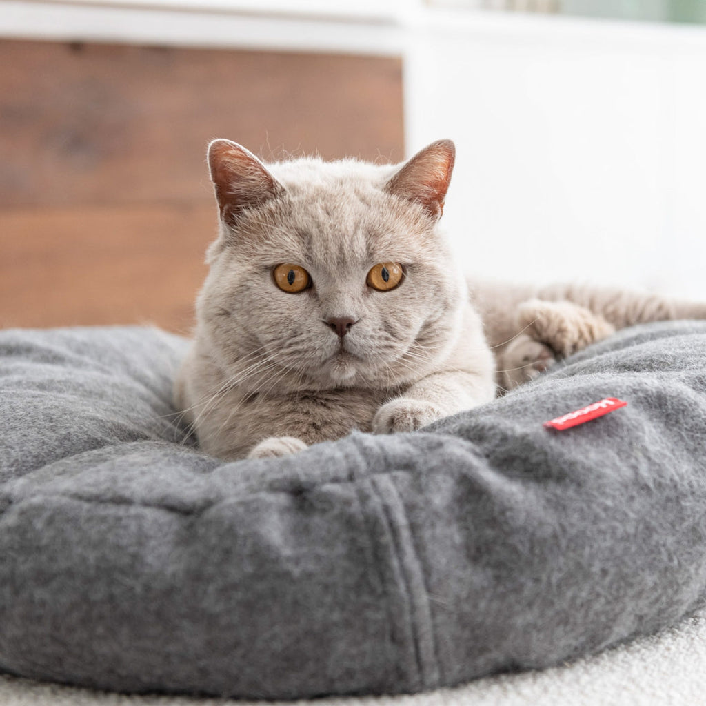 Cama Donut para Gatos – 60 cm