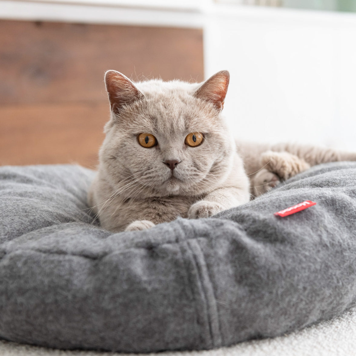 Cama Donut para Gatos – 60 cm