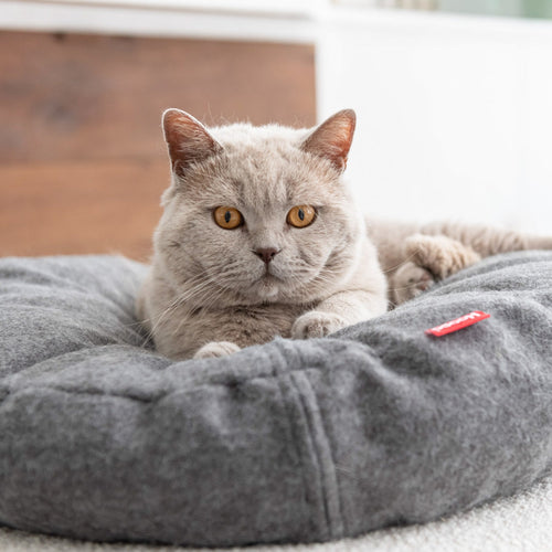 Cama Donut para Gatos – 60 cm