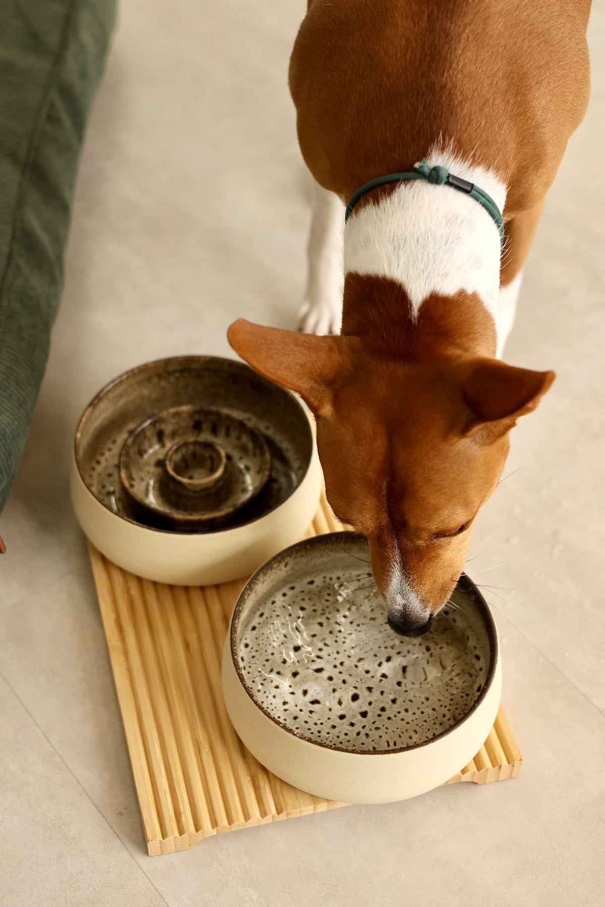 Taça Cerâmica de Água Terra para Cães e Gatos