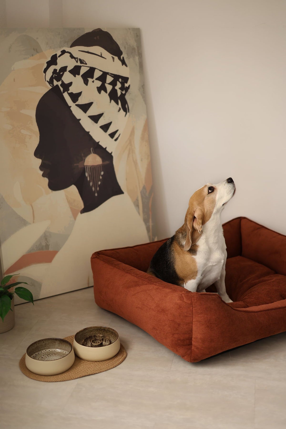 Cama CORY para Cães – Formato Sofá