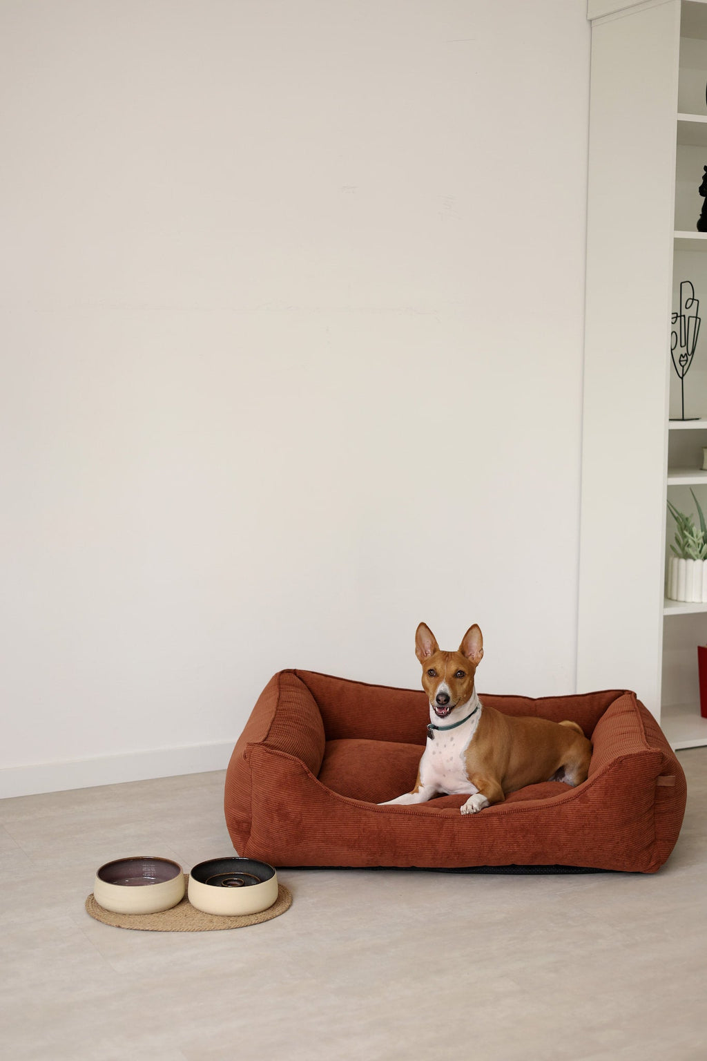 Cama CORY para Cães – Formato Sofá