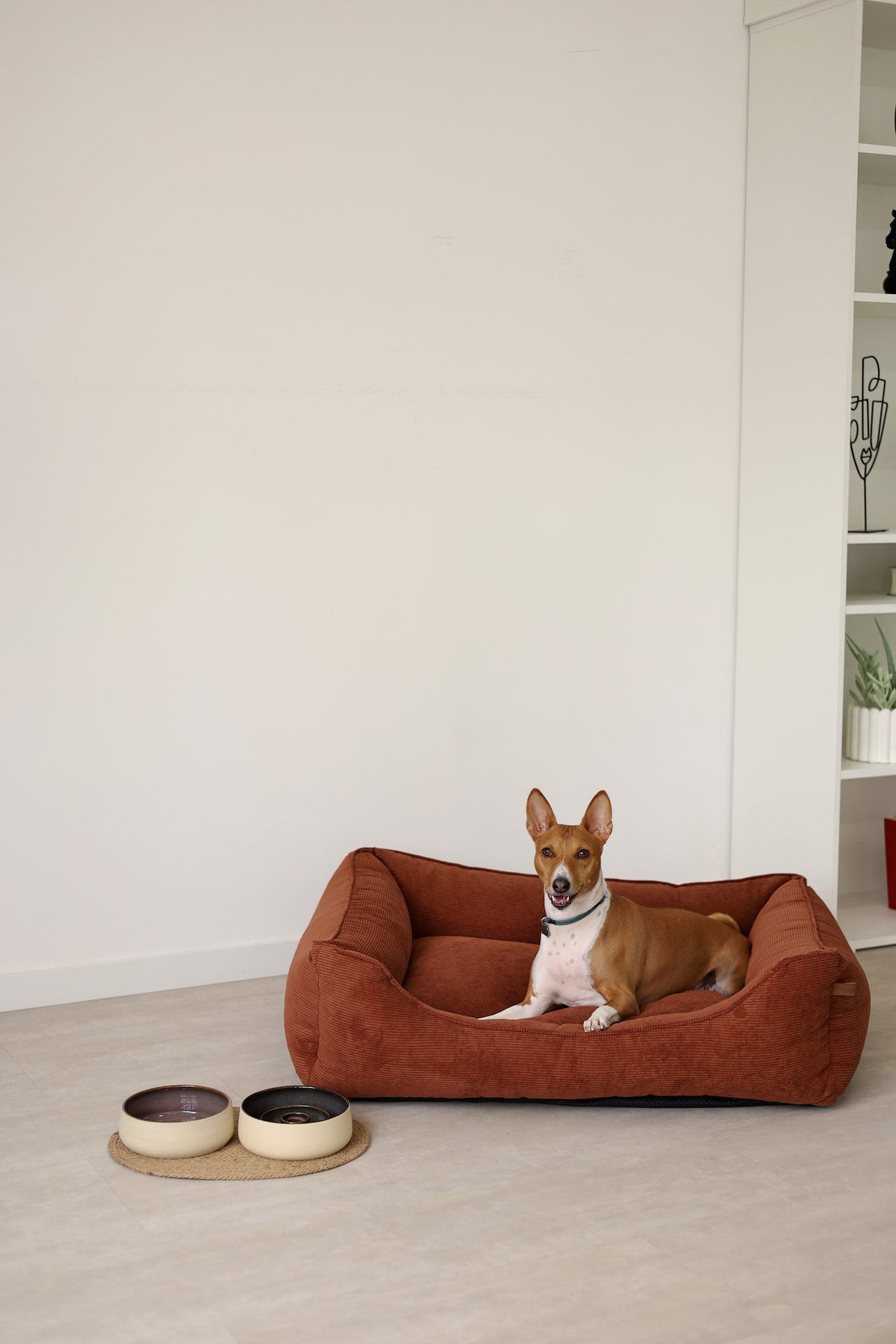 Cama CORY para Cães – Formato Sofá