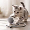 Bola Interativa Recarregável para Cães e Gatos