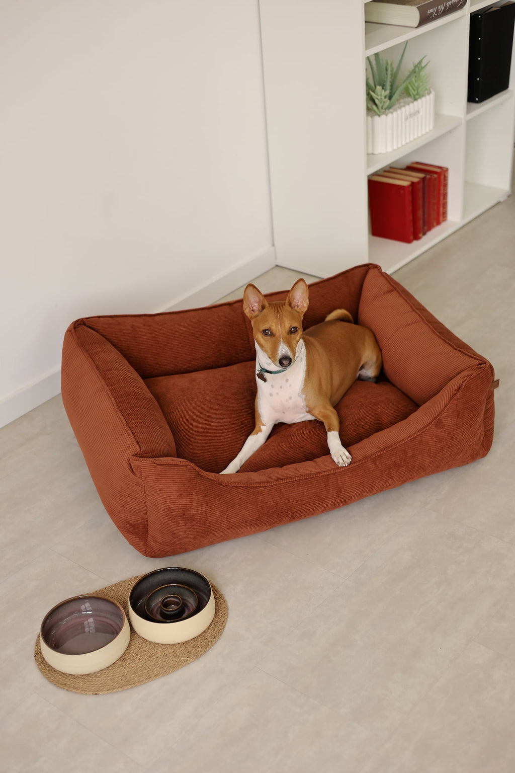 Cama CORY para Cães – Formato Sofá